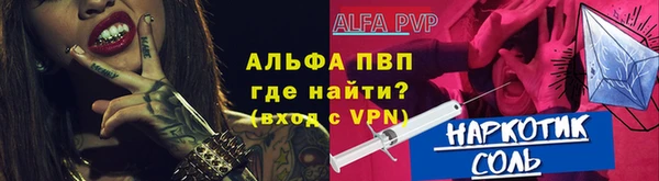 a pvp Новозыбков